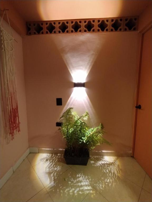 Hostal Casa Primavera Medellín Exterior foto
