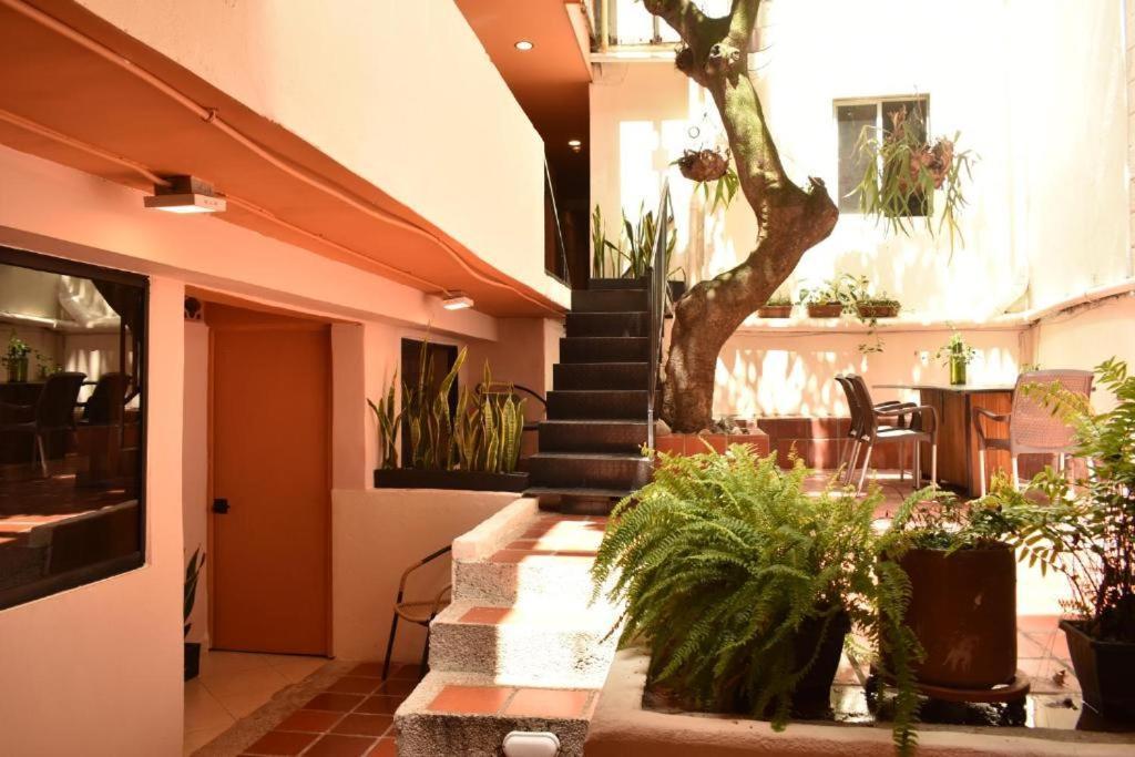 Hostal Casa Primavera Medellín Exterior foto
