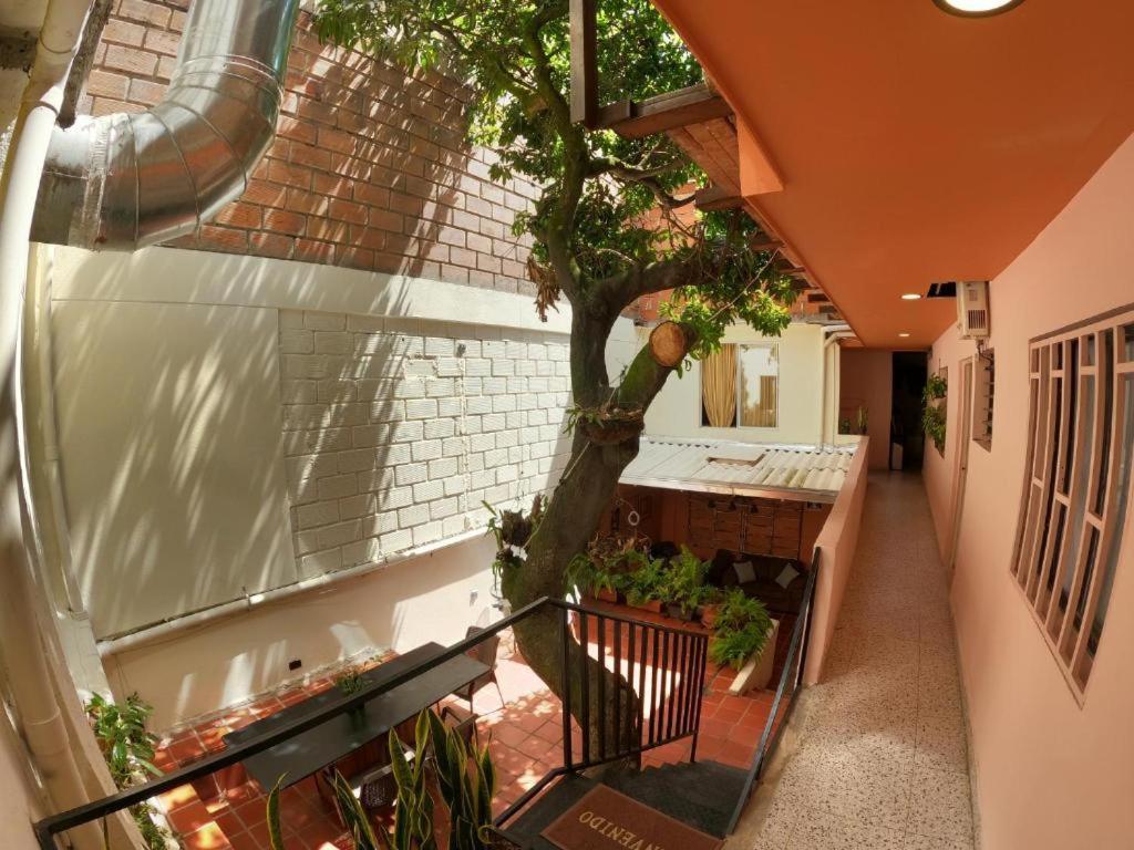 Hostal Casa Primavera Medellín Exterior foto